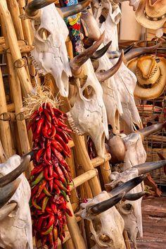 skulls and other items are on display at a market stall with straw hats hanging from them