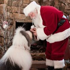 a man dressed as santa claus is giving a dog a treat in front of a fireplace