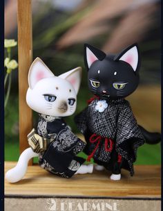 two black and white cats sitting next to each other on a wooden table with flowers in the background