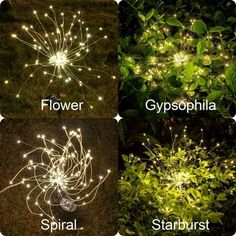 four different types of lights that look like flowers and stars in the night sky, on grass