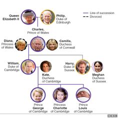 Royal Family tree and line of succession | Royal family trees, Line of ...