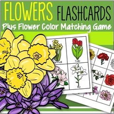 flowers flashcards for kids to color and match the flower's colors in this game