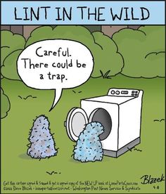 a cartoon depicting a dryer and trees with the caption'lint in the wild careful, there could be a trap '