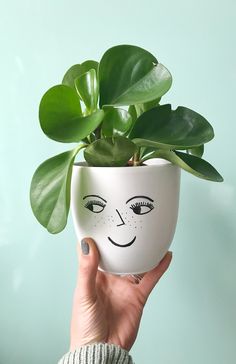 a person holding a potted plant with a face drawn on it