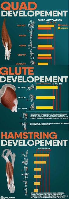 an info sheet showing the different stages of human development and how they are used to perform