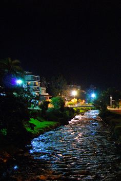 a river running through a lush green forest next to tall buildings at night with street lights on