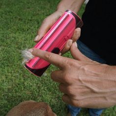 a person is holding a pink hair dryer in their hand while another dog looks on