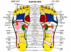 primary Hand Map Reflexology, Foot Map Reflexology, Foot Acupressure Points, Acupressure Chart, Foot Massage Techniques, Massage Ideas