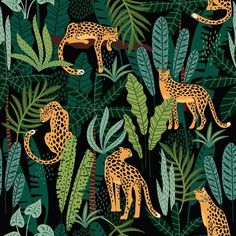 leopards in the jungle with green leaves and plants on a black background wallpaper