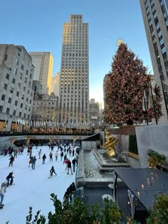 people skating on an ice rink in front of tall buildings with christmas trees and lights