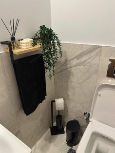 a bathroom with a toilet, sink and plant in the corner on the shelf above it