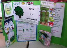 a green display with pictures and information about the environment on it's sides, including trees