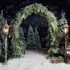 a snowy scene with christmas trees and lanterns