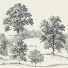 a pencil drawing of trees on a hill