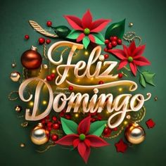 the words feliz domingo are surrounded by christmas decorations and poinsettis