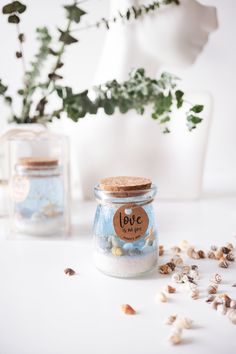 two jars filled with sea shells next to a potted plant