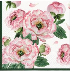 pink flowers on white background with green leaves