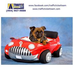 a small dog is sitting in a toy car