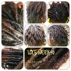 October 21, 2015. Locs week 40; Maintenance: Retwist #12 (professional), Palm-roll; Type: comb coils; Products: Damian Walter Loc & Curl, Taliyah Waajid Tight Hold (do you see the flaking?); Quantity: 158 (small-med); Consultation: Simple breakage, dry/hard locs, style not advised, use leave-in conditioner after wash; Thoughts: "Hand back to the professionals. Back to basics." Comb Coils, Eyelash Extentions, Goals Inspiration, October 21, Loc Styles, Leave In Conditioner, Back To Basics