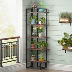 a set of shelves with potted plants on them