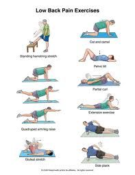 an exercise poster showing how to do back pain exercises