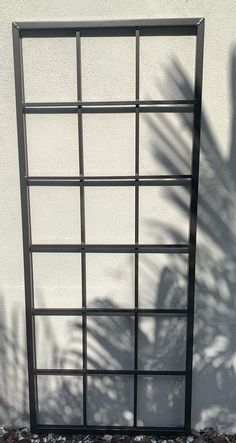 the shadow of a palm tree is cast on a white wall with a black metal frame