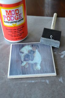 a can of mop poge next to a dog on a table