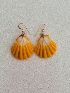 Hawaii genuine sunrise shell gold wire wrapped dangling earrings. The ear wires are 14K gold filled and nickel free making them great for sensitive ears. These indigenous precious shells come from the beaches of the Hawaiian islands. This exact pair may have been sold, but one can be made for you that is similar and just as beautiful! Each shell is uniques and therefore the individual appearance of the shells may vary. A great keepsake gift for someone special! Nickel-free Yellow Jewelry For The Beach, Handmade Gold Shell With Beachy Style, Beachy Gold Dangle Earrings, Gold Shell Ear Wire Gift, Beach Wire Wrapped Shell, Beachy Gold Shell Earrings, Gold Shell Earrings With Ear Wire As Gift, Gold Shell Earrings With Ear Wire For Gift, Handmade 14k Gold Filled Beach Earrings