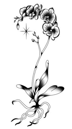 a black and white drawing of flowers