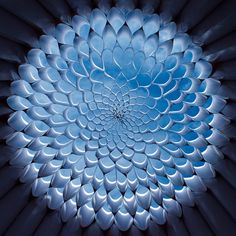 an image of the inside of a flower that looks like it has been made out of plastic