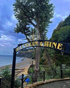 a sign that is on the side of a hill by the ocean and trees in front of it