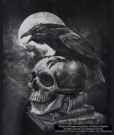 Domestic Platypus-Shirt-[meta description] Goth Decorations, Expendables Tattoo, Alchemy Gothic, Crows And Ravens, Gothic Wallpaper, Raven Skull, Inner Demons, Skull Artwork