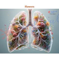 the lungs are made up of many different colored flowers and leaves, as well as text