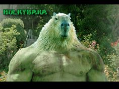 an image of a very hairy creature with the words hulk bar on it's chest