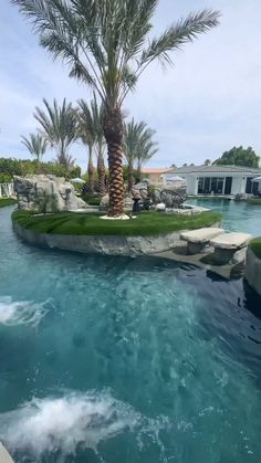 a palm tree sitting in the middle of a pool next to a lush green lawn