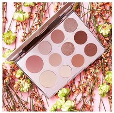 Makeup Collection Goals, Aspyn Ovard, Eyeshadow Ideas, Cheek Palette, Tarte Cosmetics, Makeup Stuff, Fairy Dust