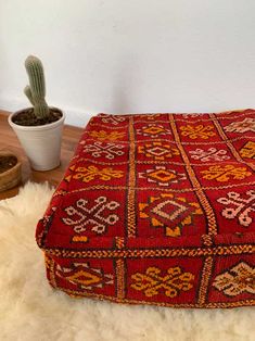 a small cactus sitting on top of a red blanket next to a potted plant