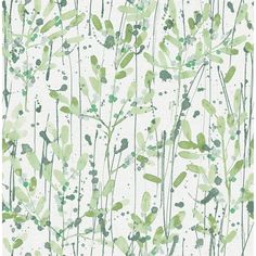 Leandra Green Floral Trail Wallpaper from the Scott Living II Collection by Brewster Home Fashions Spring Homescreen Ideas, Green Grey Wallpaper, Guest Bathroom Wallpaper, Chestnut Wallpaper, Spring Homescreen, Office Laundry Room, Ii Wallpaper, Brewster Wallpaper, Scott Living