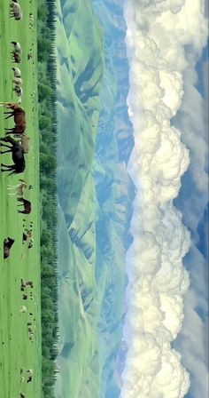 an aerial view of horses grazing on the grass in front of some mountains and clouds