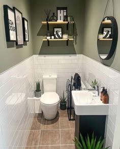 a white toilet sitting in a bathroom next to a sink and potted plant on top of a wooden shelf