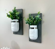 two mason jars with plants in them are hung on the wall