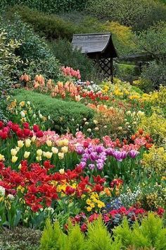 many different colored flowers and trees in a garden with a small house on the other side