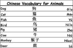 the chinese word for animals is shown in two different font styles, and it appears to be