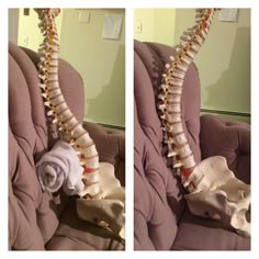 Ohh, what a great visual for showing what is happening with the spine in most couch seated situations! Punkty Spustowe, Nervus Vagus, Lower Back Pain Relief, Muscle Anatomy, Human Skeleton, Good Posture, Anatomy And Physiology