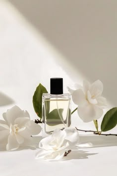 a bottle of perfume sitting next to white flowers