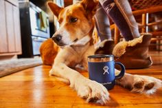 a dog laying on the floor next to a coffee cup with its paw resting on it