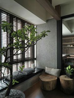 a living room filled with furniture and a tree