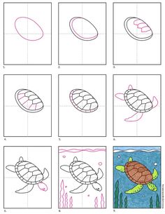 how to draw a turtle step by step instructions for kids and beginners with pictures