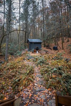 a small cabin in the woods surrounded by trees and fallen leaves on the ground,