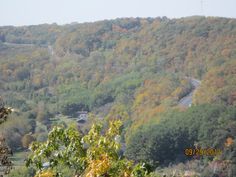 a scenic view of a road surrounded by trees in the fall with colorful foliage on the hillside